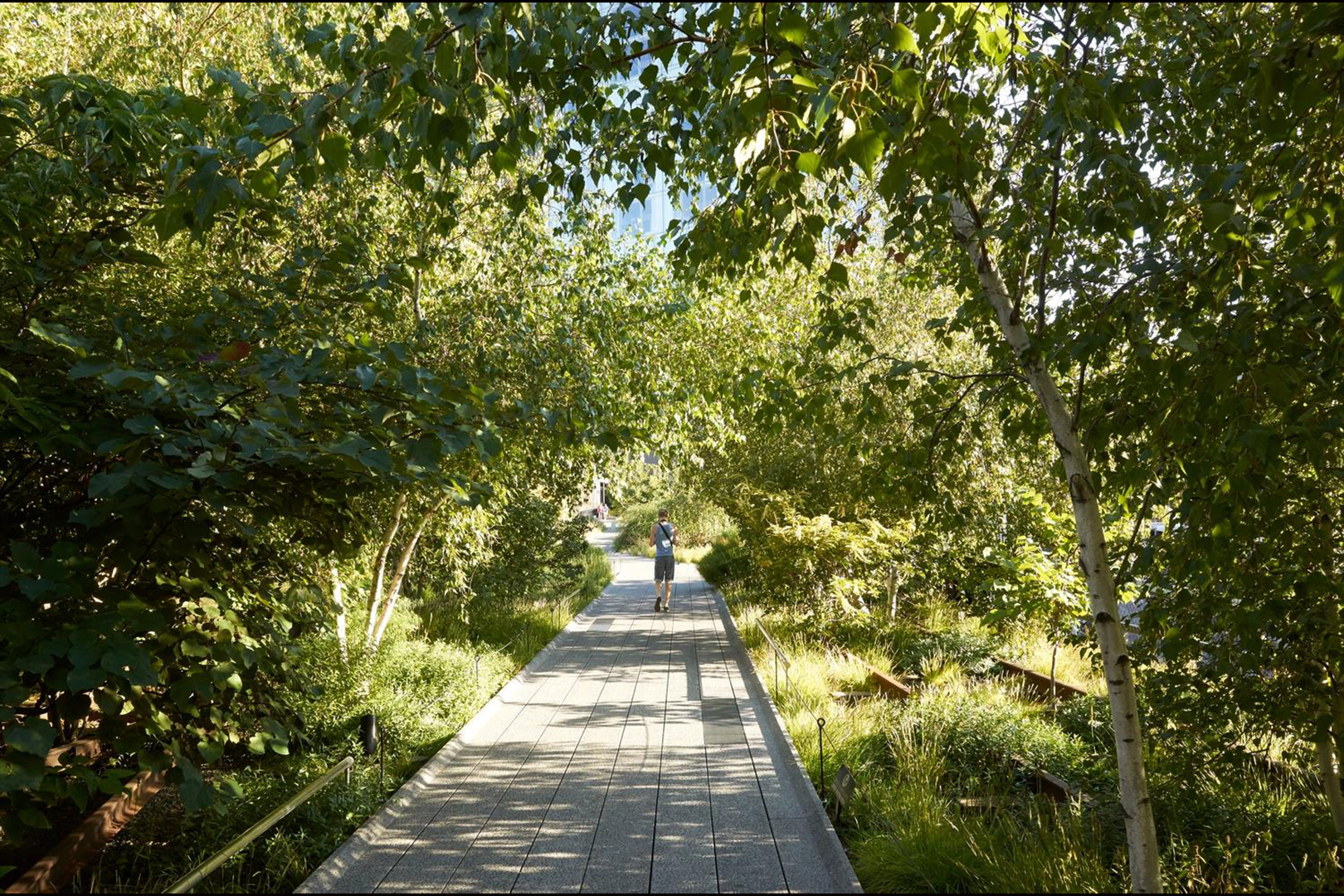 de High Line, New York, ontwerp DS+R/Field Operations/Piet Oudolf