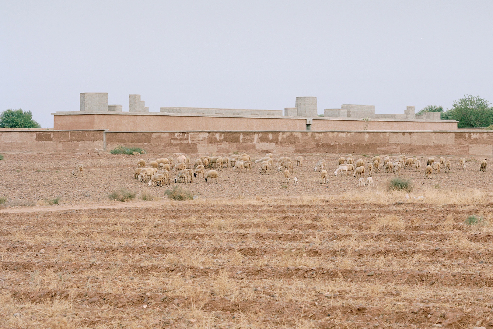 Leopold Banchini Architects, Dar El Farida, Al Haouz, Marokko, 2025