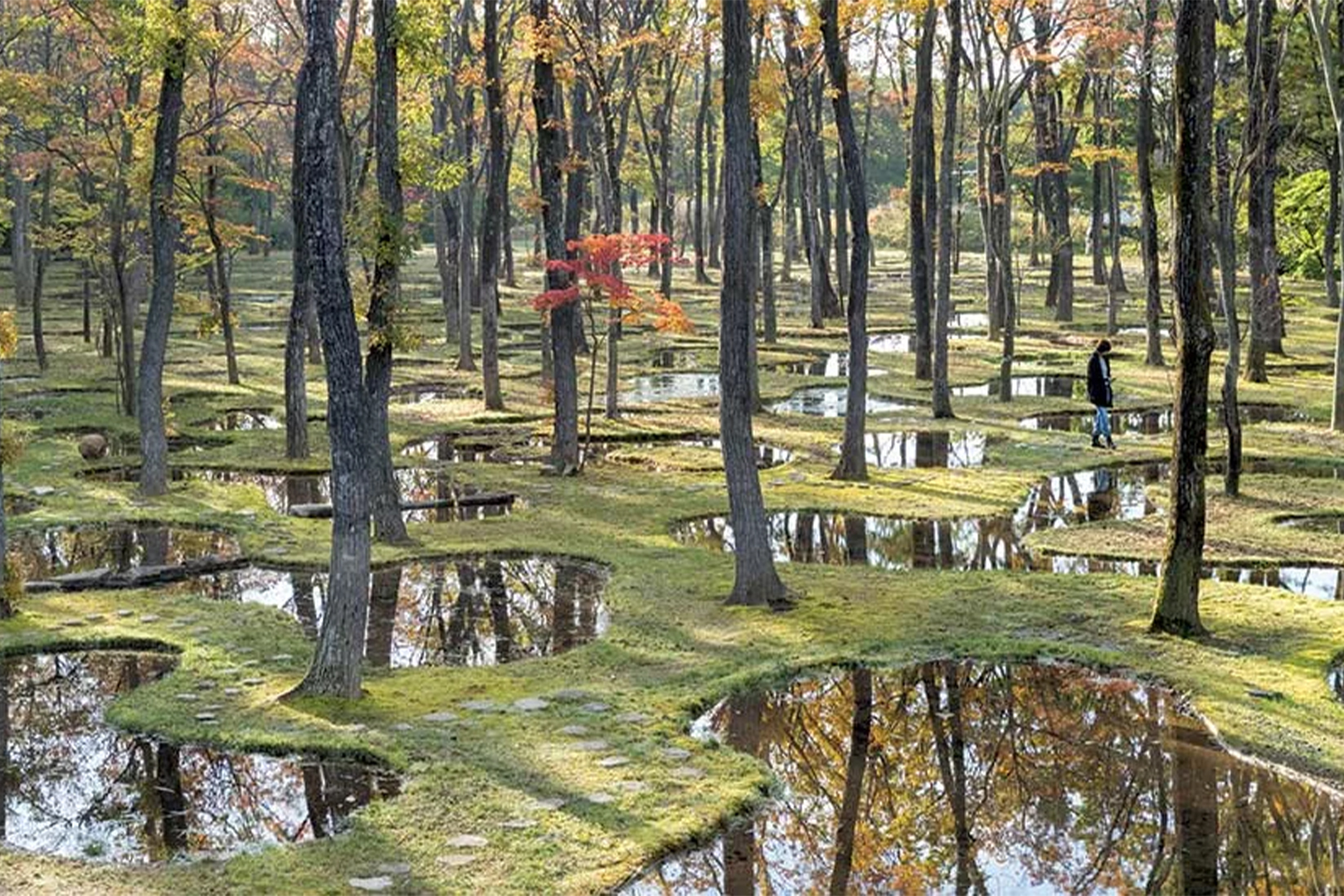 junya.ishigami+associates, Art Biotop Water Garden, Tochigi, Japan, 2019